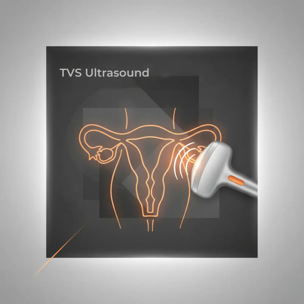 TVS Ultrasound at Akshar Imaging Centre